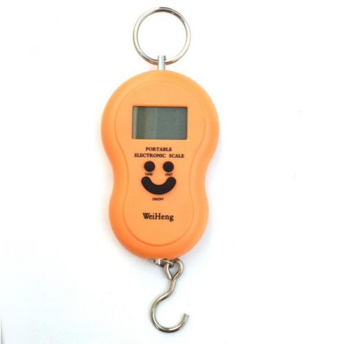 Váha závesná mincier, nosnosť 50kg, DIGI
