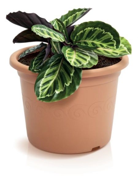 Kvetináč plastový, priemer 34cm, PLASTICA, terakota
