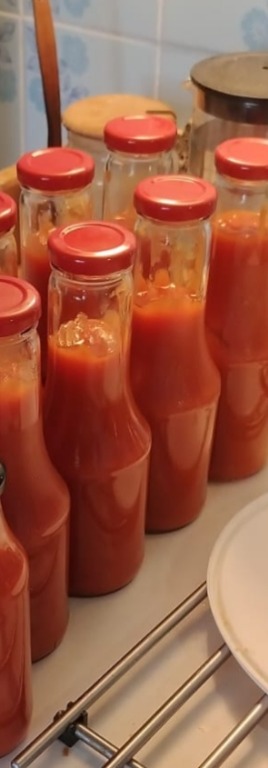 Fľaša na kečup TO43 500ml